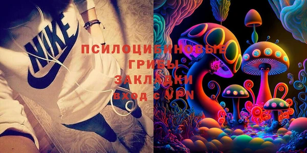 индика Бикин
